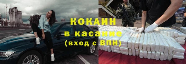 стаф Алзамай