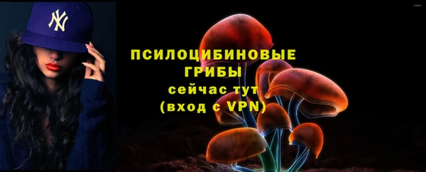 ГАЛЛЮЦИНОГЕННЫЕ ГРИБЫ Алексеевка