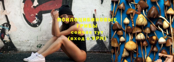 ГАЛЛЮЦИНОГЕННЫЕ ГРИБЫ Алексеевка