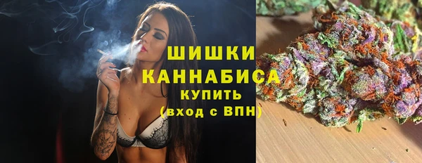 ГАЛЛЮЦИНОГЕННЫЕ ГРИБЫ Алексеевка