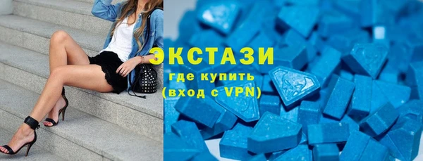стаф Алзамай